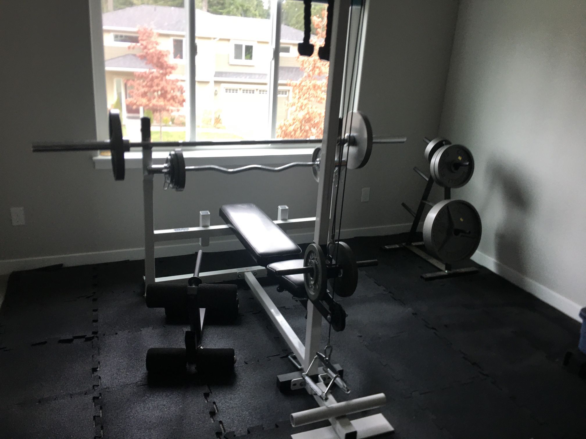 Olympic Free Weight & Gym Set