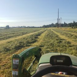 Wrapped  Round Bales 