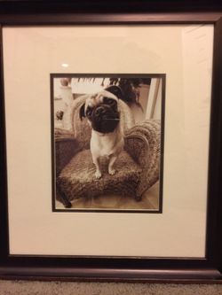 Sepia Pug from Lazy Boy NEW