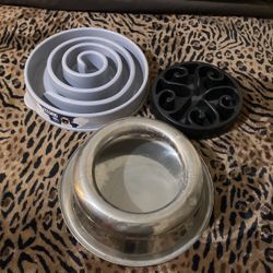 Dog Bowls
