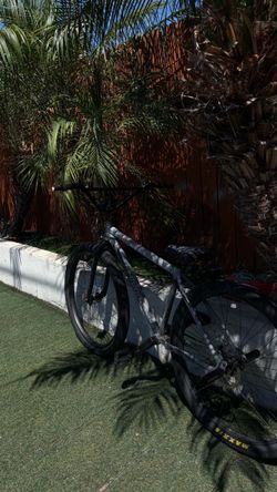 throne 29er