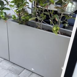 Large Planters Set of 3