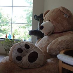 Giant Teddy Bear 93 in,  8ft