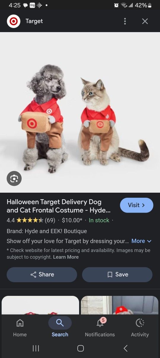 Pet Costume