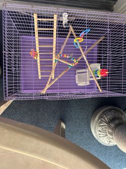 Cage Very Clean