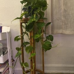 Rattan Boho Plant Stand 