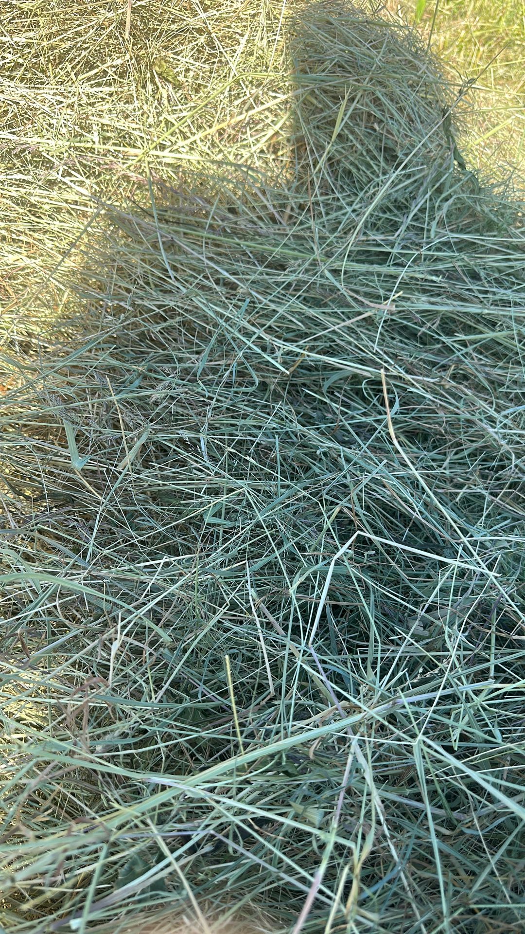 Round Bales $35 6-9 - 6-11