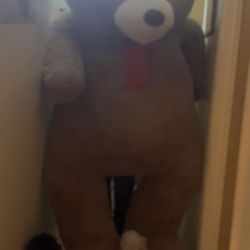 Oso De Peluche Súper Grande