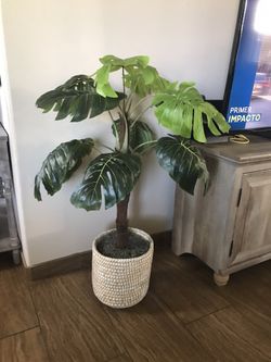 Plant Artificial