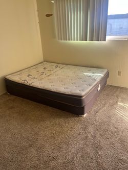Free mattress and box