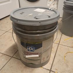 5 Gallon Paint Buckets 