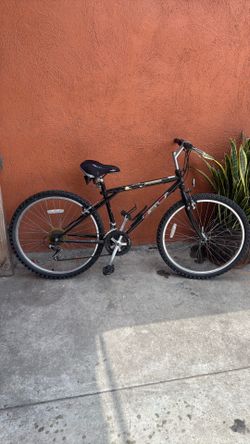 GT Palomar bike