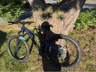 Roscoe 6 like new trek