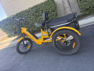 Adult 3-Wheel Cargo Ebike WHALE 2.0 with Canvas Bag
