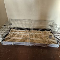 Guinea Pig Cage