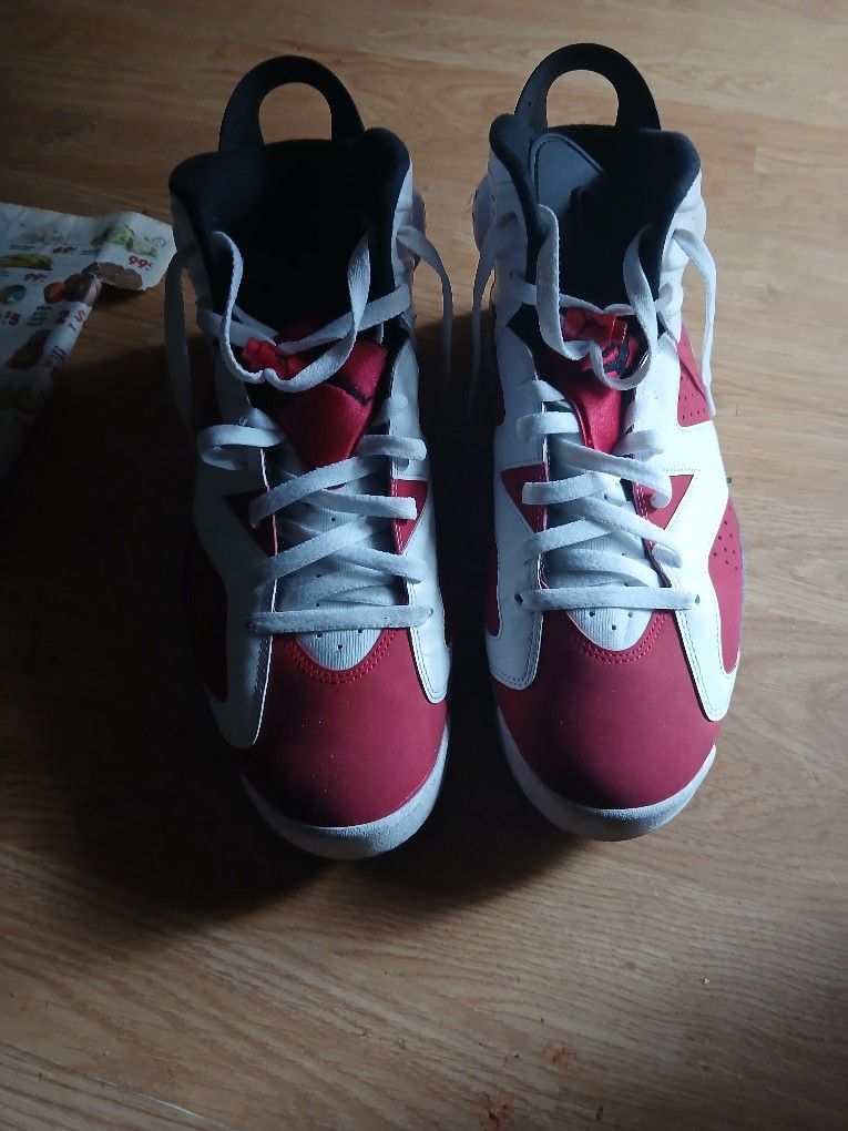 Nike Air Jordan #6 Size 13