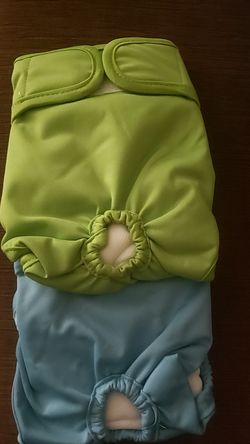 Dog diaper