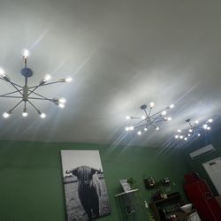 Ceiling Lamps 