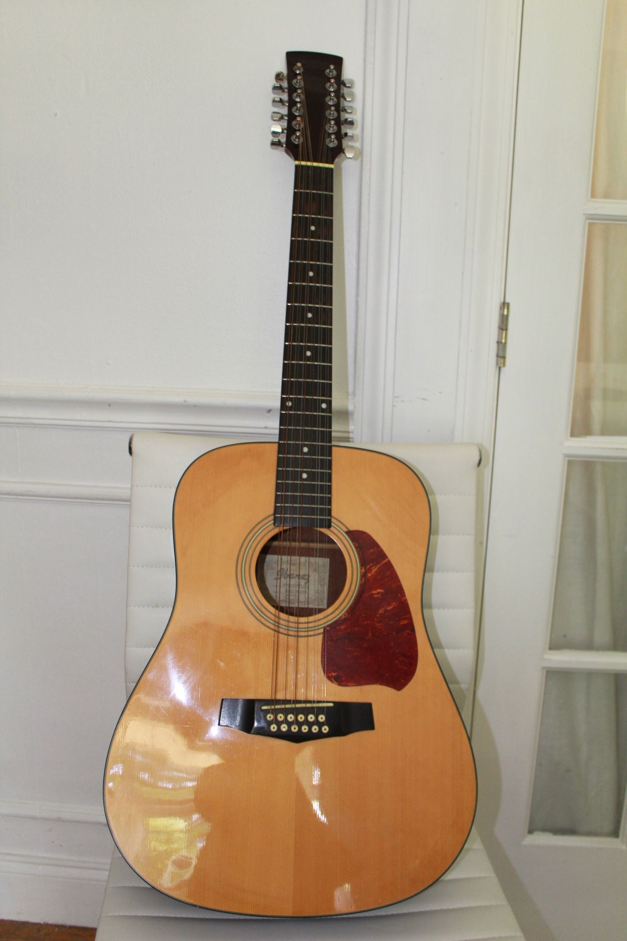Ibanez 12 string acoustic guitar