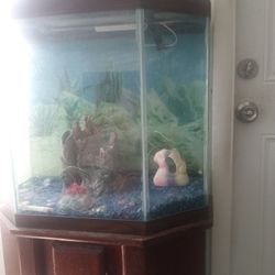 Fishtank 30gal