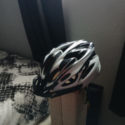 bicycle helmet