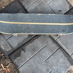 Skate Board