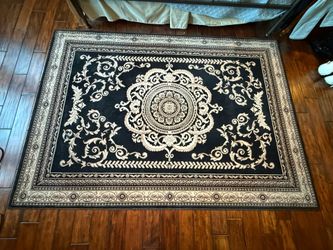 Platinum Collection Area Rug - 165x235 (5'5" x 7'8")