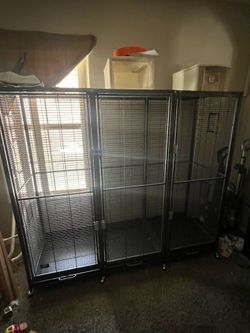 Borneo cage
