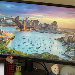 Dell Monitor 24 inch