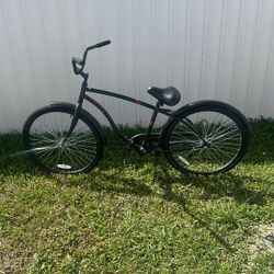 *New Beach Cruiser