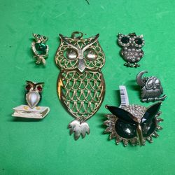 Owl Jewelry 