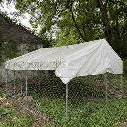 Large Outdoor Kennel