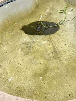 NEED YOUR POOL ACID WASHED / CHLORINE RINSED MESSAGE ME FOR DETAILS