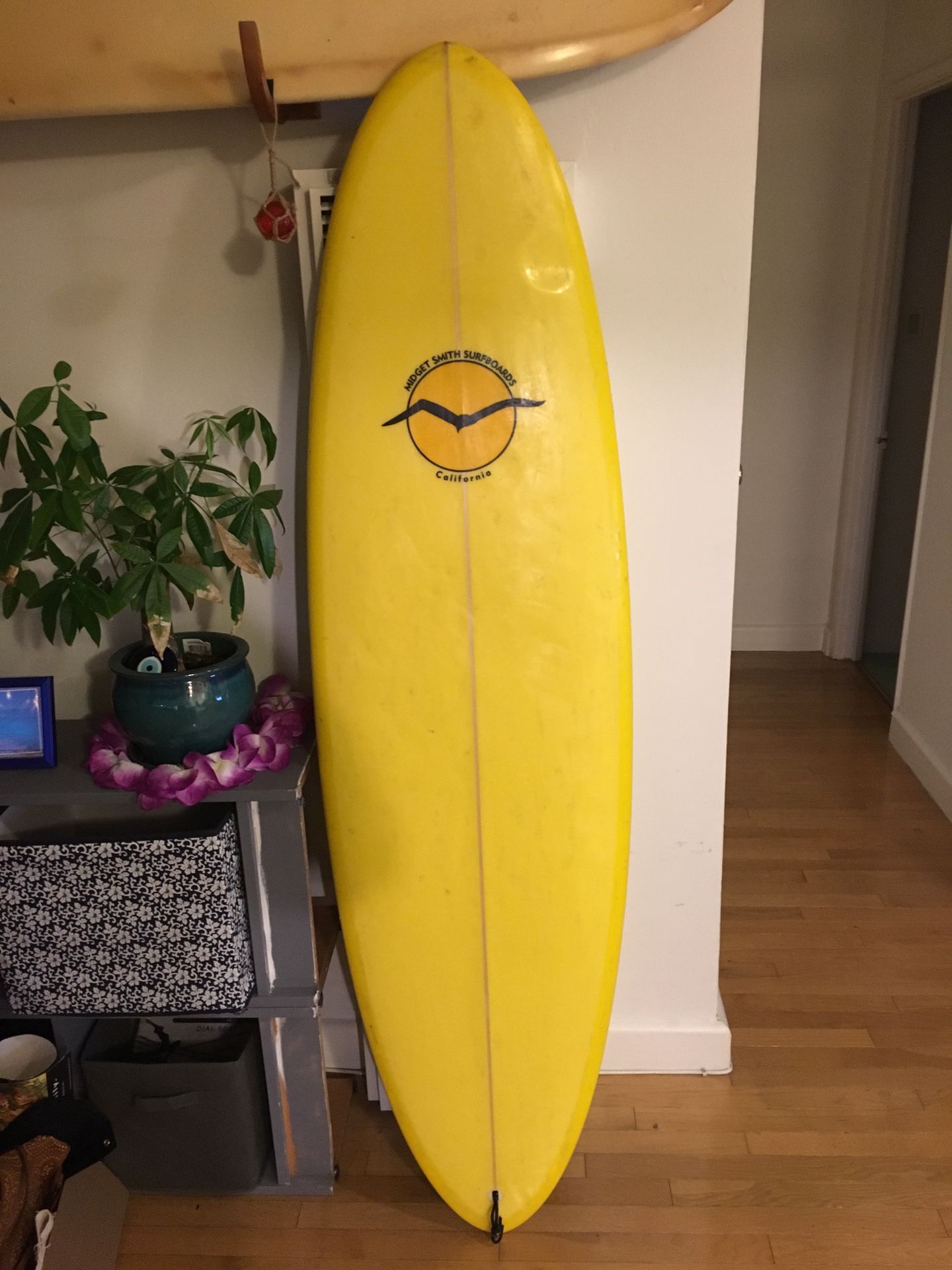 6' single fin egg surfboard Midget smith