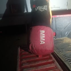 Everlast 50 Lb Bag $$10 As Is No Tears Or Rips Usable