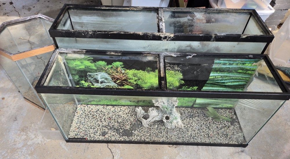 Fish Tank Bundle