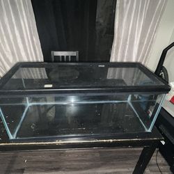 30-Gallon Glass Terrarium with Mesh Lid – Excellent Condition!