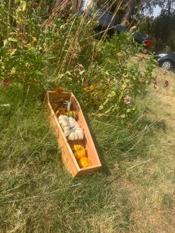 Cedar Coffin Display Box