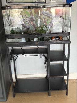 Terrarium and Stand