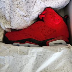 NEW Jordan Bravo 6's