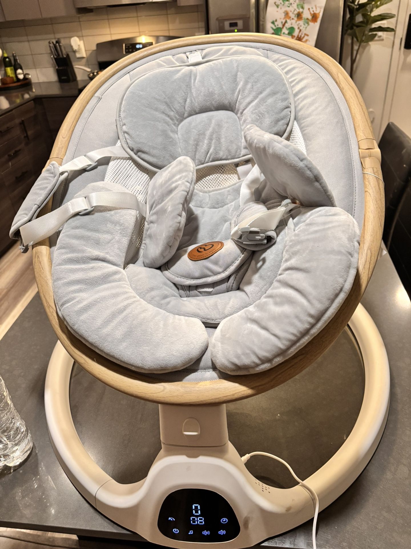 Baby Bouncer