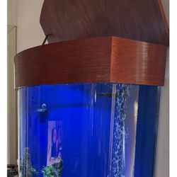 75 Gallons Tank