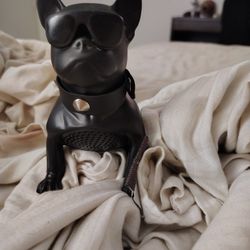Doggy Speaker 