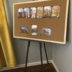 Easel And Cork board $25