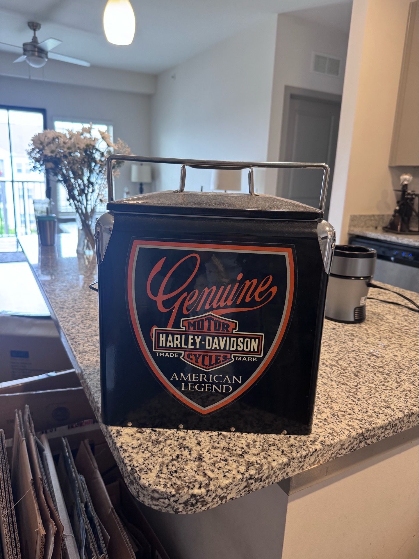 Harley Davidson drink cooler