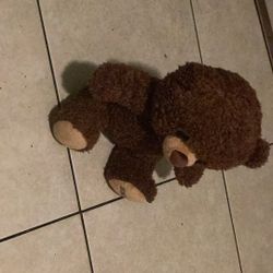 Teddy Bear