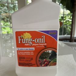 Bonide Fung-onil Concentrate