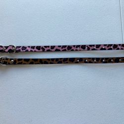 Dog Collar