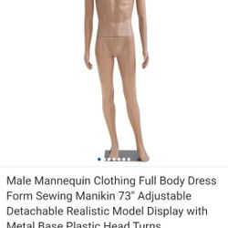 Male Mannequin New In Box