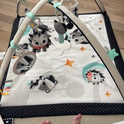 Baby Playmat tinylove